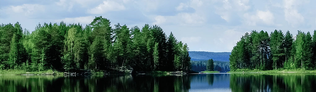 Jätevesitermit tutuiksi – osa 2